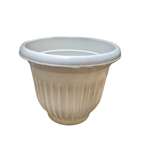 8 Inch Olive White Plastic Pot