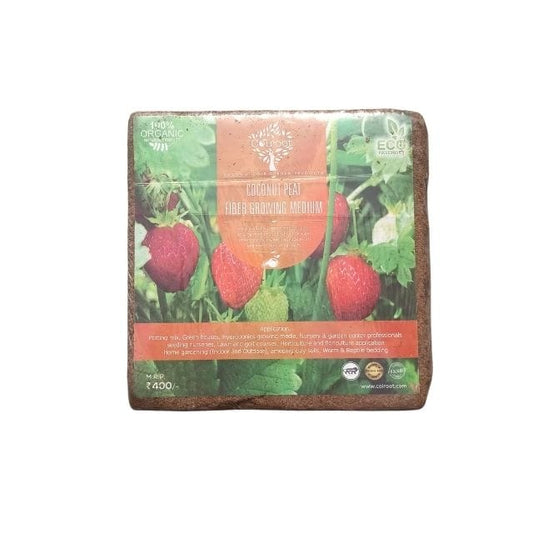 Coconut Peat Grow Media packaging with strawberry imagery on a white background online cocopeat haryali