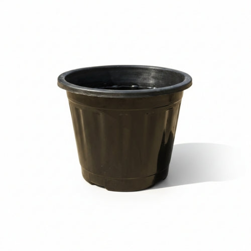 Black 8 Inch Nursery Pot