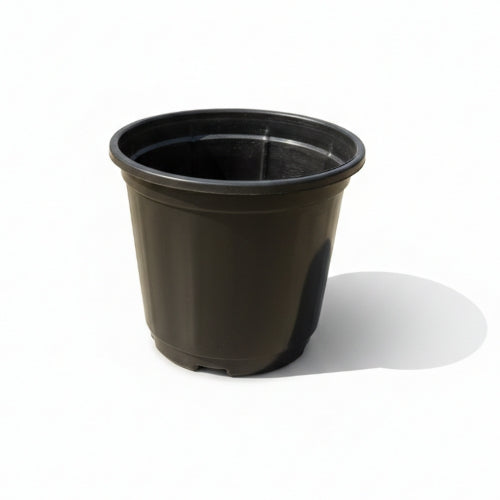 Black 5.5 Inch Nursery Pot
